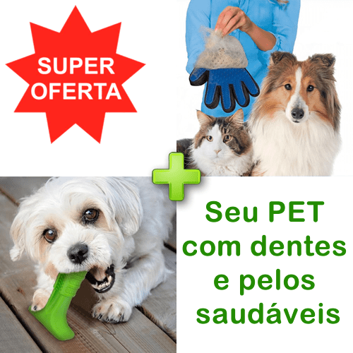 Kit Dog (Mordedor e Escova de Dentes Para Cães Antiestresse - Pet Brush + Luva para Remover Pelos Soltos de Animais de Estimação - True Touch)