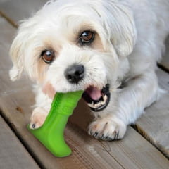 Mordedor e Escova de Dentes Para Cães Antiestresse - Pet Brush